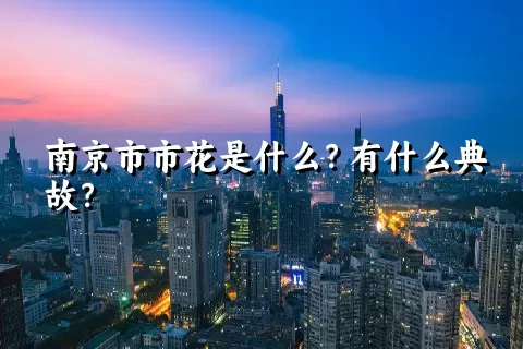 南京市市花是什么？有什么典故？