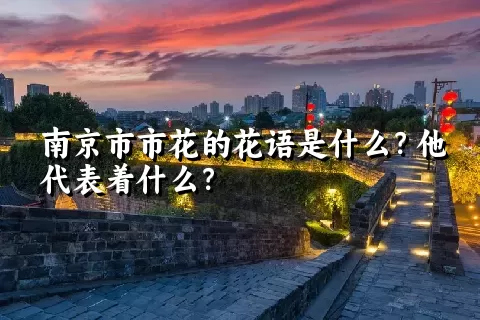 南京市市花的花语是什么？他代表着什么？