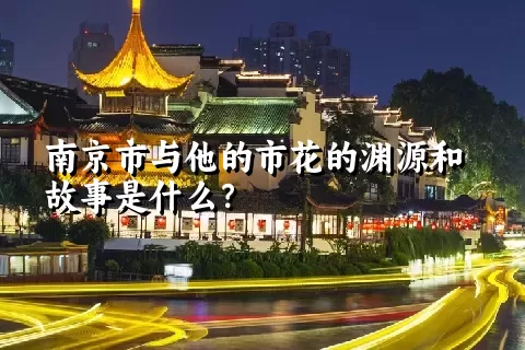 南京市与他的市花的渊源和故事是什么？