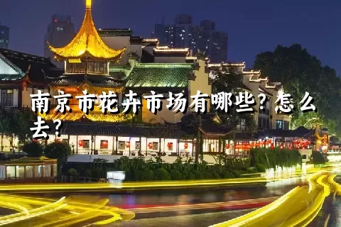 南京市花卉市场有哪些？怎么去？