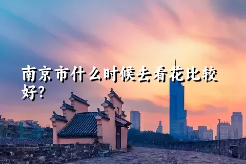 南京市什么时候去看花比较好？