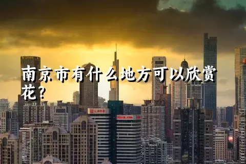 南京市有什么地方可以欣赏花？