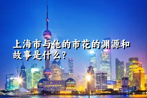 上海市与他的市花的渊源和故事是什么？