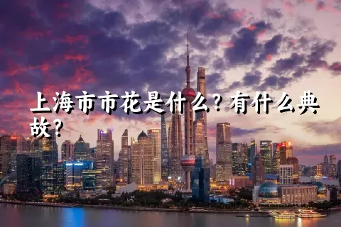 上海市市花是什么？有什么典故？