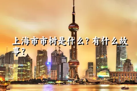 上海市市树是什么？有什么故事？