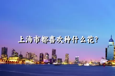 上海市都喜欢种什么花？