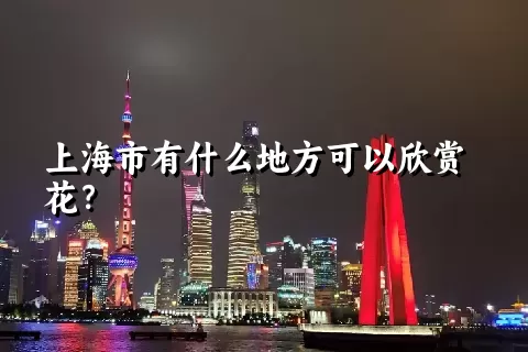 上海市有什么地方可以欣赏花？