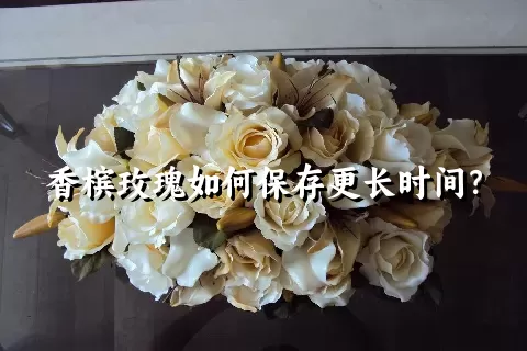 香槟玫瑰如何保存更长时间？