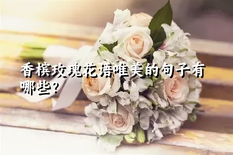 香槟玫瑰花语唯美的句子有哪些？