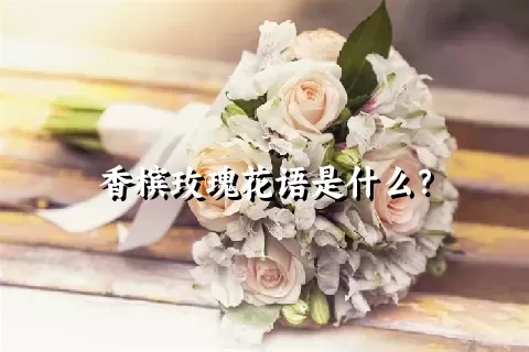 香槟玫瑰花语是什么？