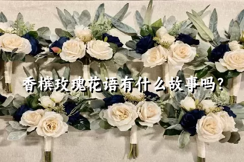 香槟玫瑰花语有什么故事吗？