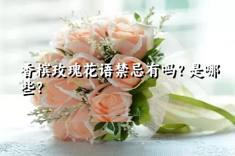 香槟玫瑰花语禁忌有吗？是哪些？