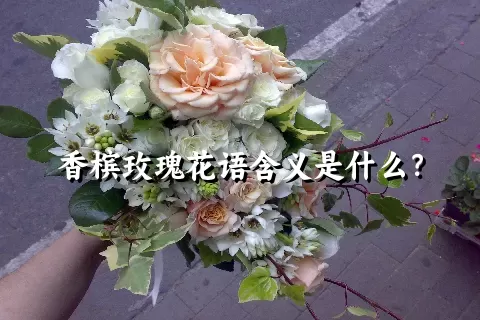 香槟玫瑰花语含义是什么？