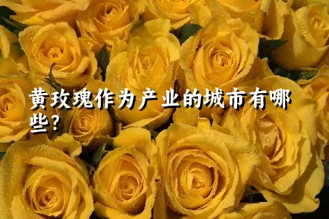 黄玫瑰作为产业的城市有哪些？