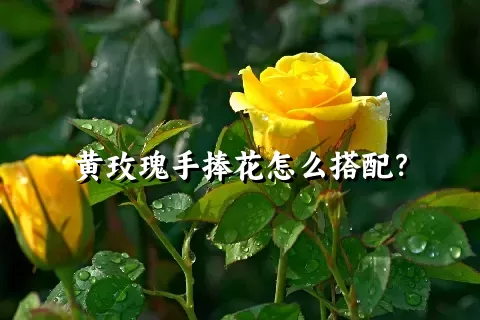 黄玫瑰手捧花怎么搭配？