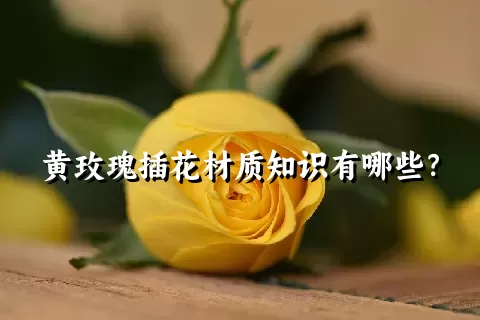 黄玫瑰插花材质知识有哪些？