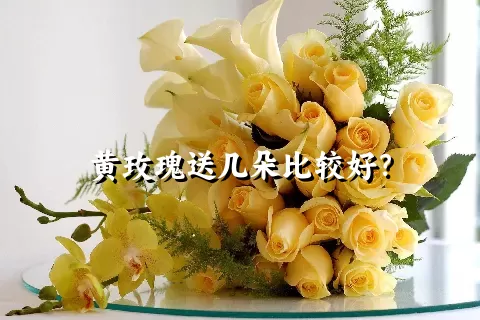 黄玫瑰送几朵比较好？