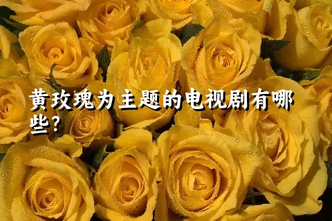 黄玫瑰为主题的电视剧有哪些？