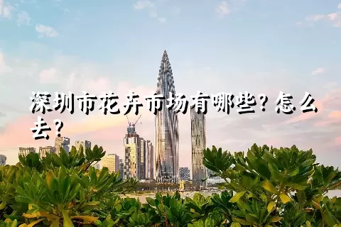 深圳市花卉市场有哪些？怎么去？