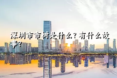 深圳市市树是什么？有什么故事？