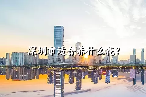 深圳市适合养什么花？