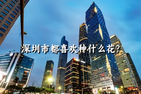 深圳市都喜欢种什么花？