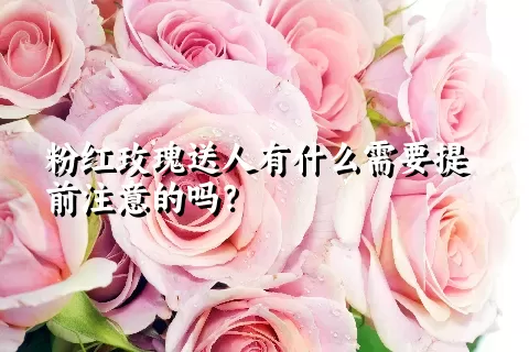 粉红玫瑰送人有什么需要提前注意的吗？