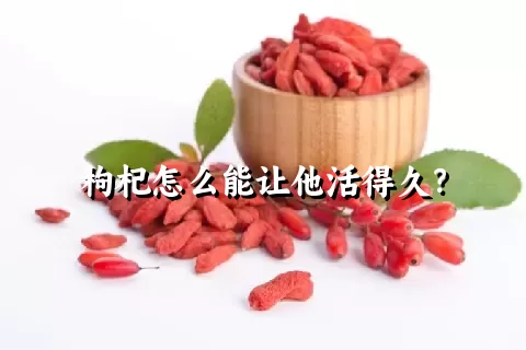 枸杞怎么能让他活得久？