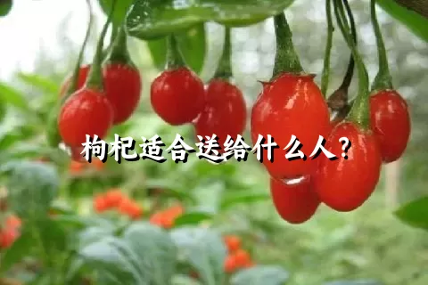 枸杞适合送给什么人？