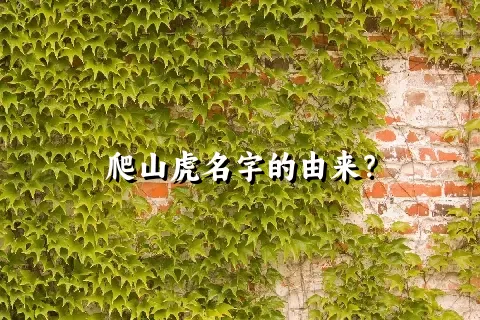 爬山虎名字的由来？