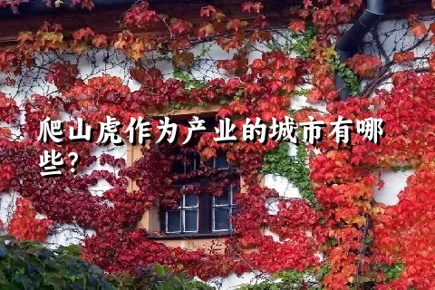 爬山虎作为产业的城市有哪些？