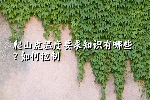 爬山虎温度要求知识有哪些？如何控制