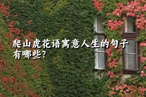 爬山虎花语寓意人生的句子有哪些？