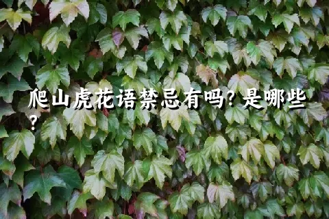 爬山虎花语禁忌有吗？是哪些？