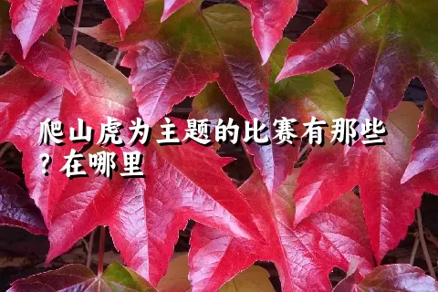 爬山虎为主题的比赛有那些？在哪里