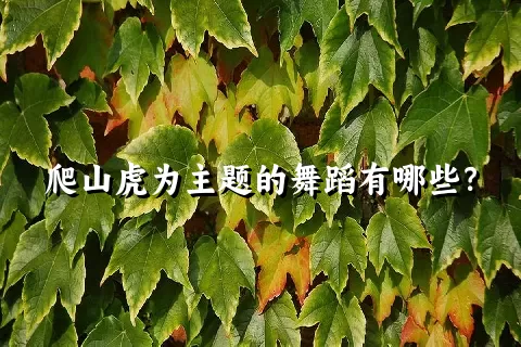 爬山虎为主题的舞蹈有哪些？