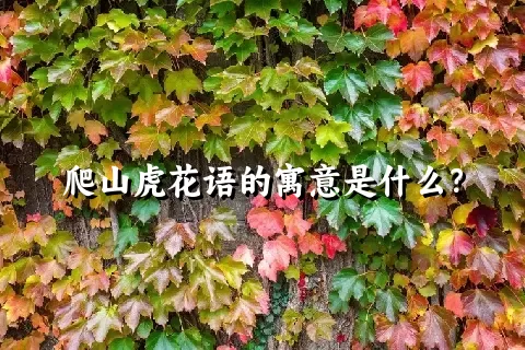 爬山虎花语的寓意是什么？