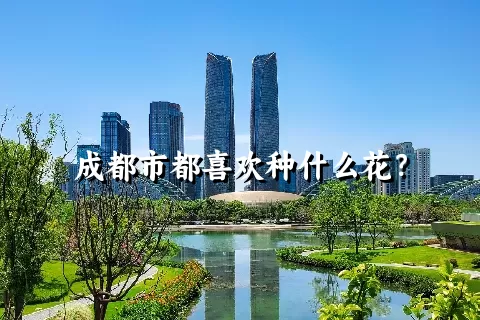 成都市都喜欢种什么花？