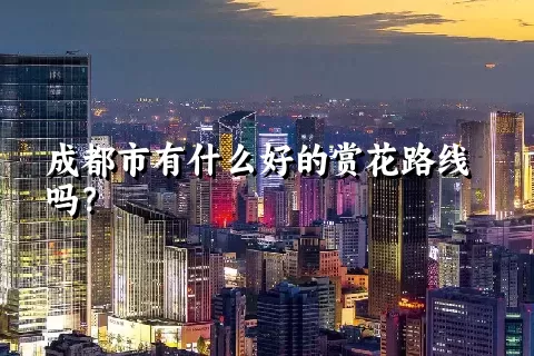 成都市有什么好的赏花路线吗？