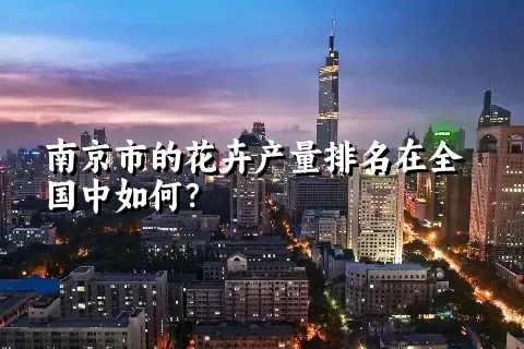 南京市的花卉产量排名在全国中如何？