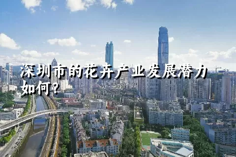 深圳市的花卉产业发展潜力如何？