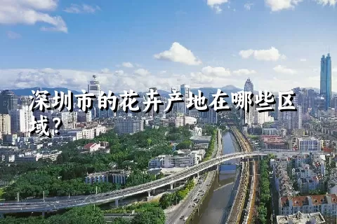 深圳市的花卉产地在哪些区域？