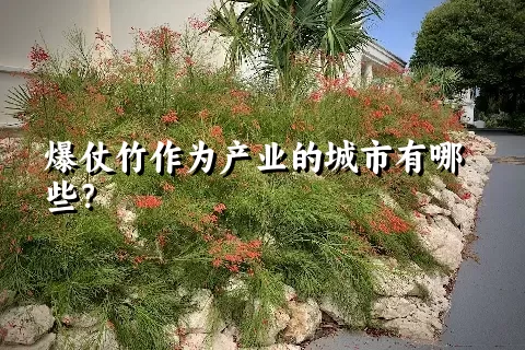 爆仗竹作为产业的城市有哪些？