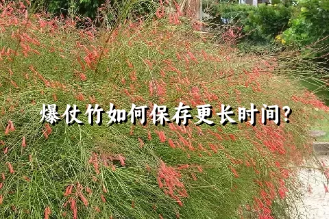 爆仗竹如何保存更长时间？