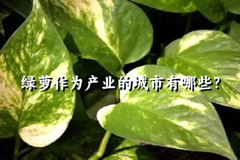 绿萝作为产业的城市有哪些？