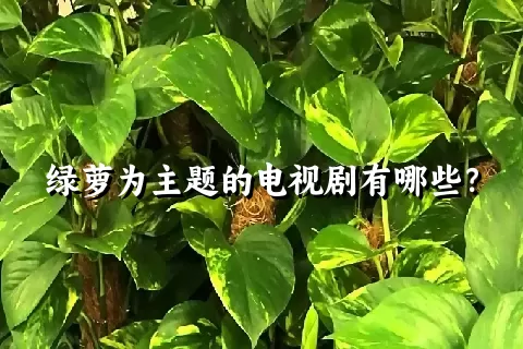 绿萝为主题的电视剧有哪些？