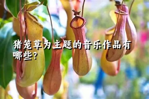 猪笼草为主题的音乐作品有哪些？