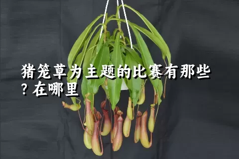 猪笼草为主题的比赛有那些？在哪里