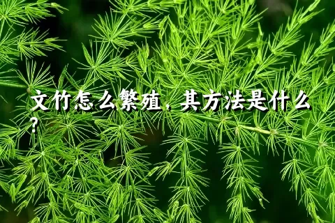 文竹怎么繁殖，其方法是什么？