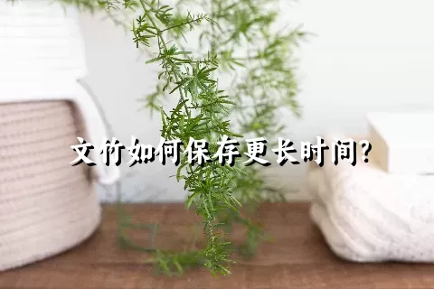 文竹如何保存更长时间？